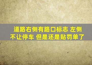 道路右侧有路口标志 左侧不让停车 但是还是贴罚单了